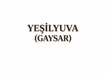 Yeşilyuva
